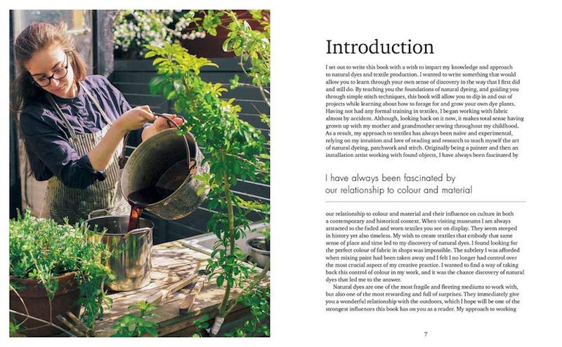 The Wild Dyer: A Maker's Guide to Natural Dyes with Projects to Create and Stitch - Abigail Booth